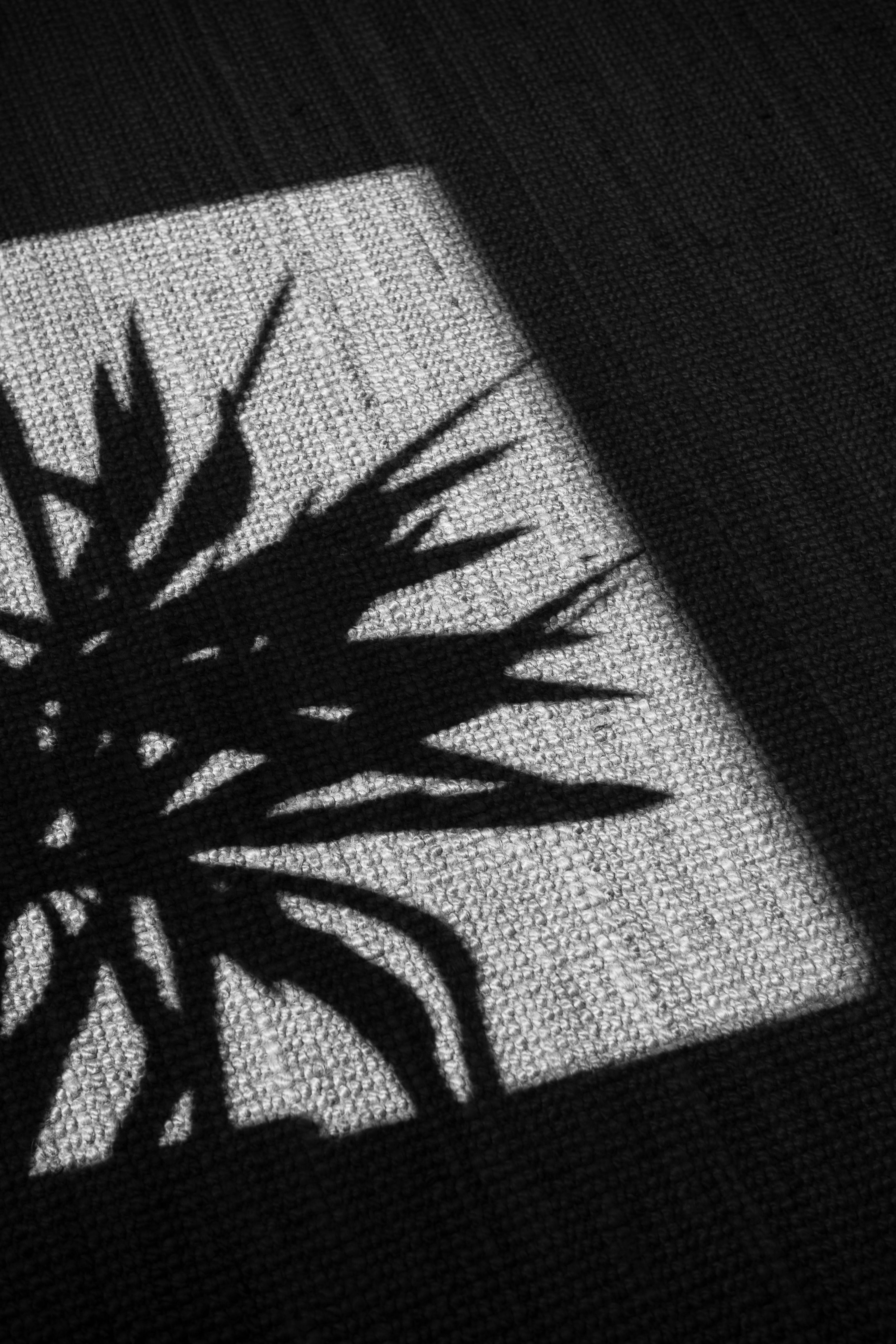 Pourquoi le bambou change vraiment le confort au quotidien